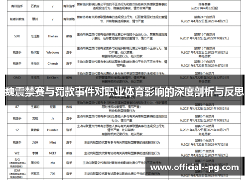魏震禁赛与罚款事件对职业体育影响的深度剖析与反思 魏震禁赛与罚款事件对职业体育影响的深度剖析与反思